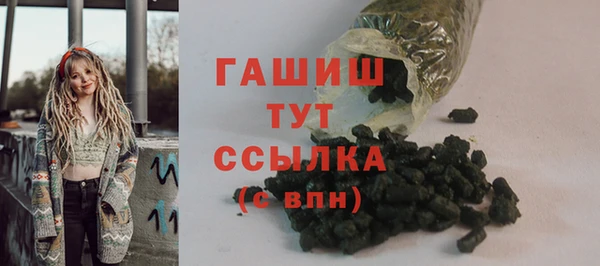 гидра Богородицк