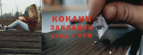 гидра Богородицк