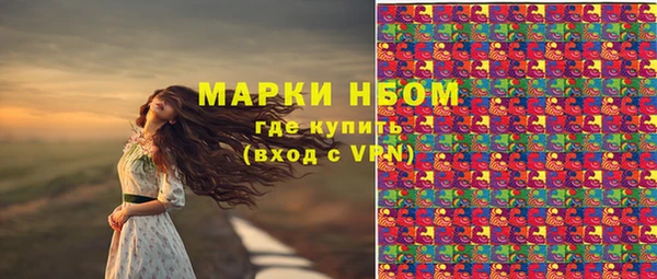 гидра Богородицк