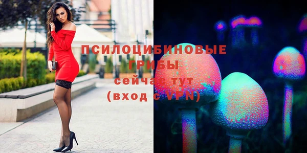 MDMA Пестово