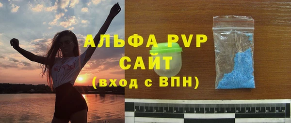 гидра Богородицк