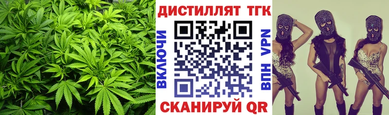 ТГК концентрат  Купить где  Алексин 