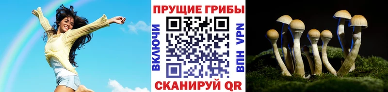 Купить где  Алексин  Галлюциногенные грибы Psilocybe 